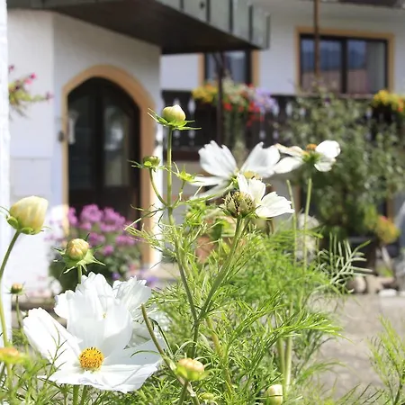 Szálloda Alpenblick Berghof 2*