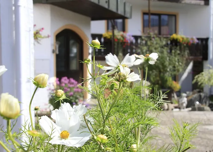 Hotel Alpenblick Berghof 2*