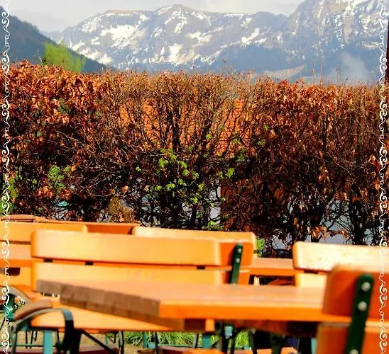 فندق Alpenblick Berghof